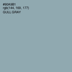 #90A9B1 - Gull Gray Color Image