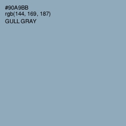#90A9BB - Gull Gray Color Image