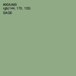 #90AA85 - Sage Color Image