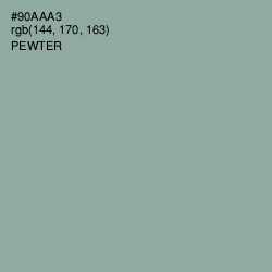 #90AAA3 - Pewter Color Image