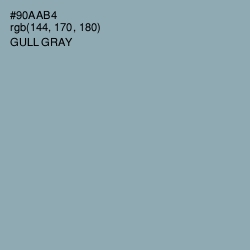 #90AAB4 - Gull Gray Color Image