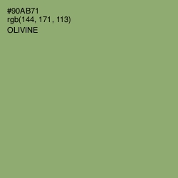 #90AB71 - Olivine Color Image