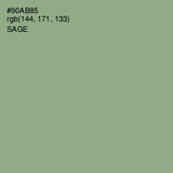 #90AB85 - Sage Color Image