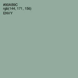 #90AB9C - Envy Color Image