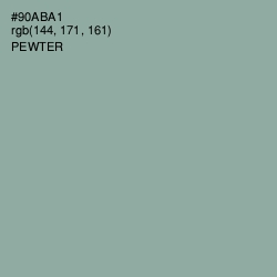 #90ABA1 - Pewter Color Image