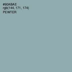 #90ABAE - Pewter Color Image