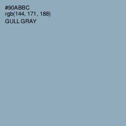 #90ABBC - Gull Gray Color Image