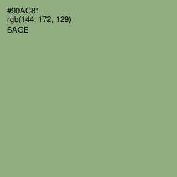 #90AC81 - Sage Color Image