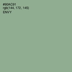 #90AC91 - Envy Color Image