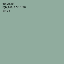 #90AC9F - Envy Color Image