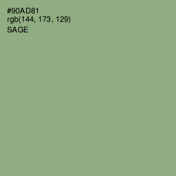 #90AD81 - Sage Color Image