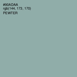 #90ADAA - Pewter Color Image