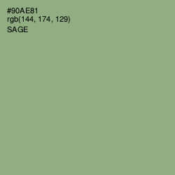 #90AE81 - Sage Color Image