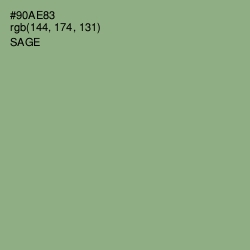 #90AE83 - Sage Color Image