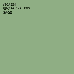 #90AE84 - Sage Color Image