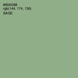 #90AE88 - Sage Color Image