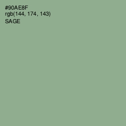 #90AE8F - Sage Color Image