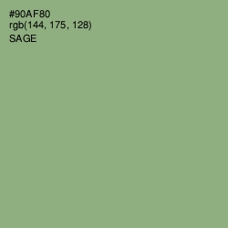 #90AF80 - Sage Color Image