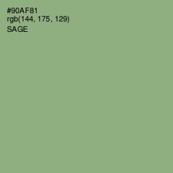 #90AF81 - Sage Color Image