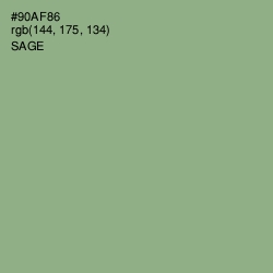 #90AF86 - Sage Color Image