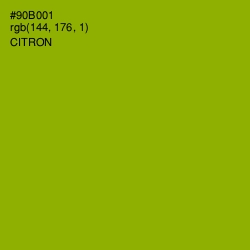 #90B001 - Citron Color Image