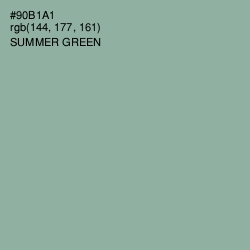 #90B1A1 - Summer Green Color Image