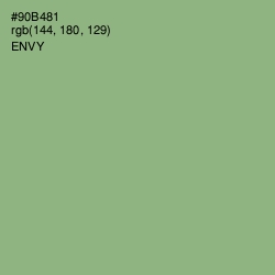 #90B481 - Envy Color Image