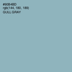 #90B4BD - Gull Gray Color Image