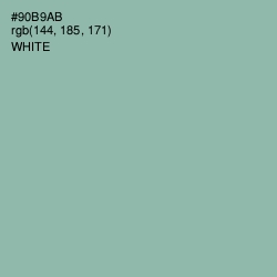 #90B9AB - Summer Green Color Image