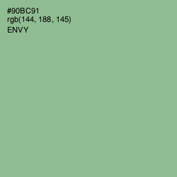 #90BC91 - Envy Color Image