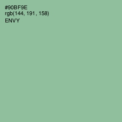 #90BF9E - Envy Color Image