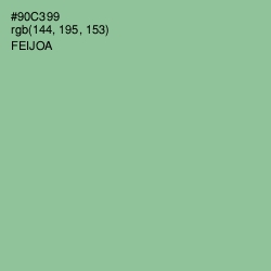 #90C399 - Feijoa Color Image
