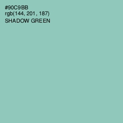 #90C9BB - Shadow Green Color Image