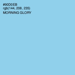 #90D0EB - Morning Glory Color Image