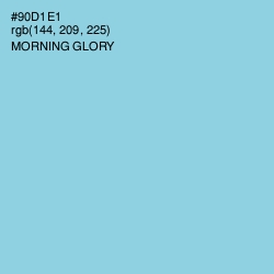 #90D1E1 - Morning Glory Color Image