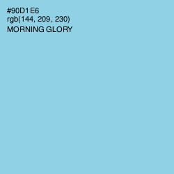 #90D1E6 - Morning Glory Color Image