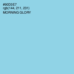 #90D3E7 - Morning Glory Color Image