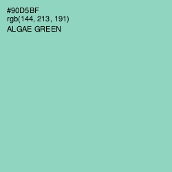 #90D5BF - Algae Green Color Image
