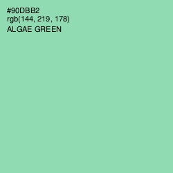 #90DBB2 - Algae Green Color Image