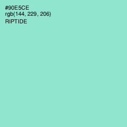 #90E5CE - Riptide Color Image