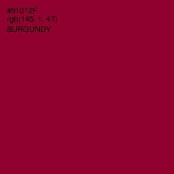 #91012F - Burgundy Color Image