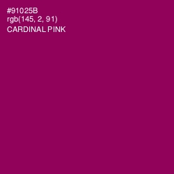 #91025B - Cardinal Pink Color Image