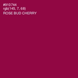 #910744 - Rose Bud Cherry Color Image