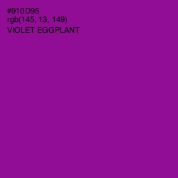#910D95 - Violet Eggplant Color Image