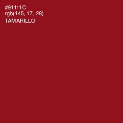 #91111C - Tamarillo Color Image