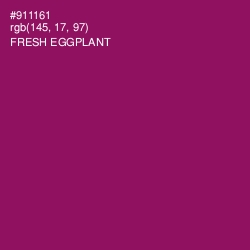 #911161 - Fresh Eggplant Color Image