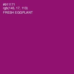 #911171 - Fresh Eggplant Color Image