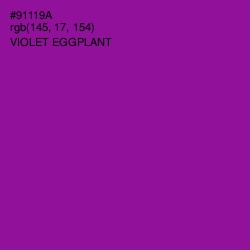 #91119A - Violet Eggplant Color Image