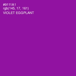 #9111A1 - Violet Eggplant Color Image