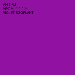 #9111A2 - Violet Eggplant Color Image